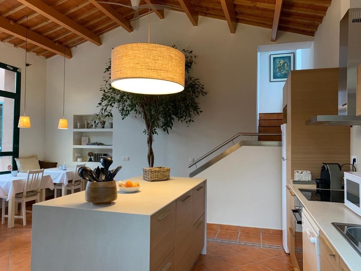 Can Ballus Bed&Breakfast Tiana Eksteriør billede